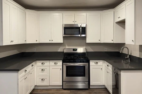 Move-In Cleaning Service