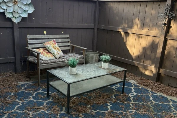 Professional home cleaning services