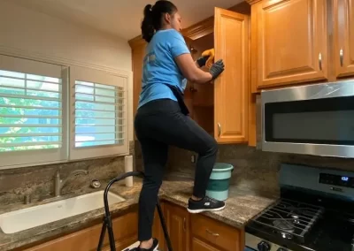 Cleaning Specialists