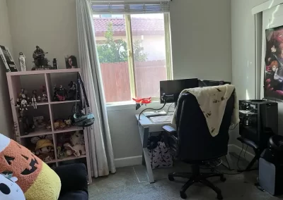 Home Cleaning Services (10)