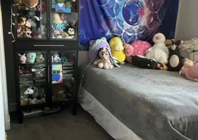 Professional House Cleaning